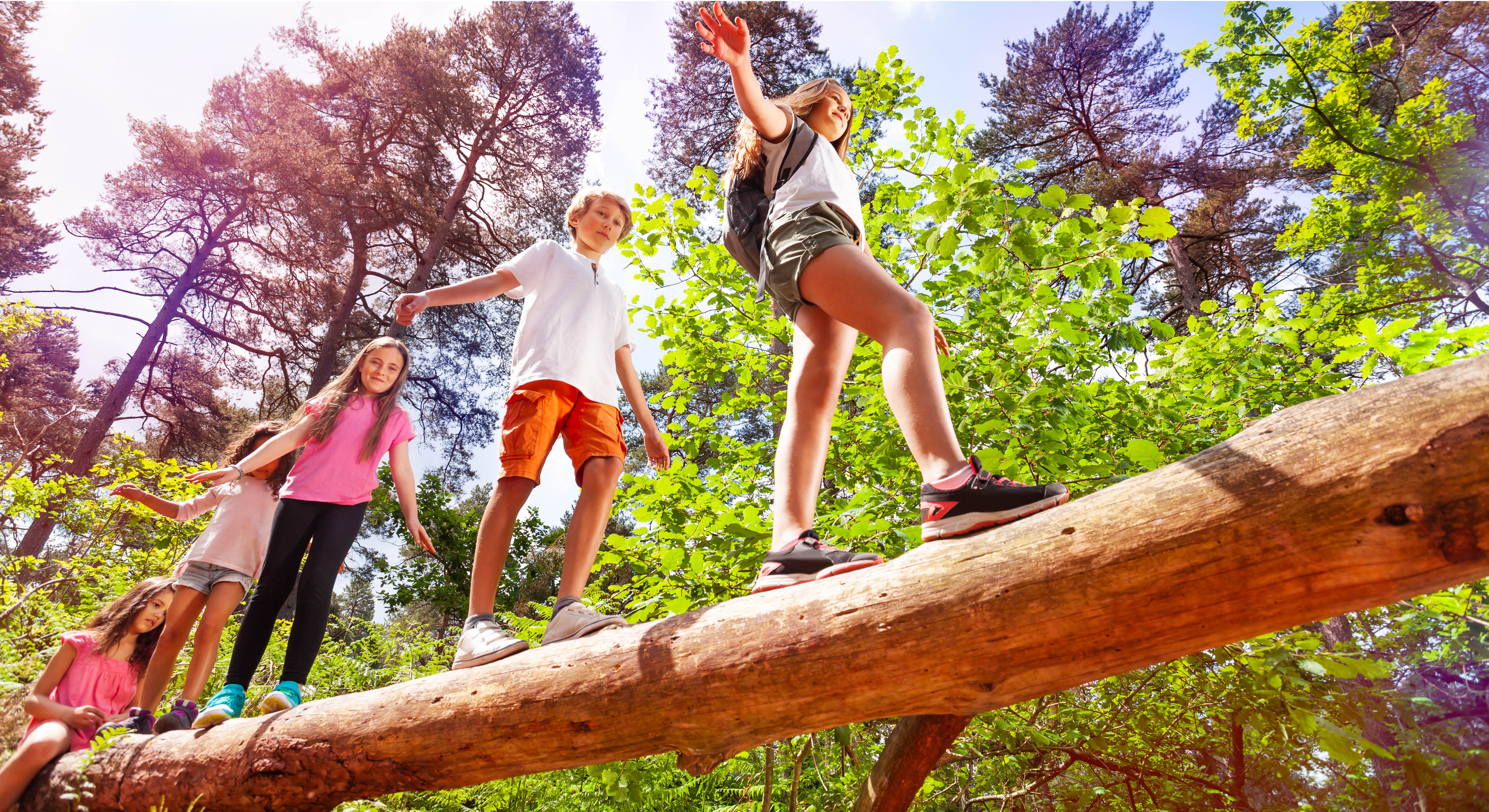 Kinder balancieren über Stamm