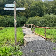 Trittsteinüberquerung