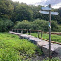 Trittsteinüberquerung