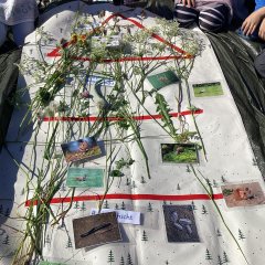 gebasteltes Wiesenhaus der Kita Daun-Neunkirchen