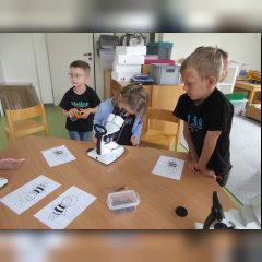 Kinder beim Mikroskopieren