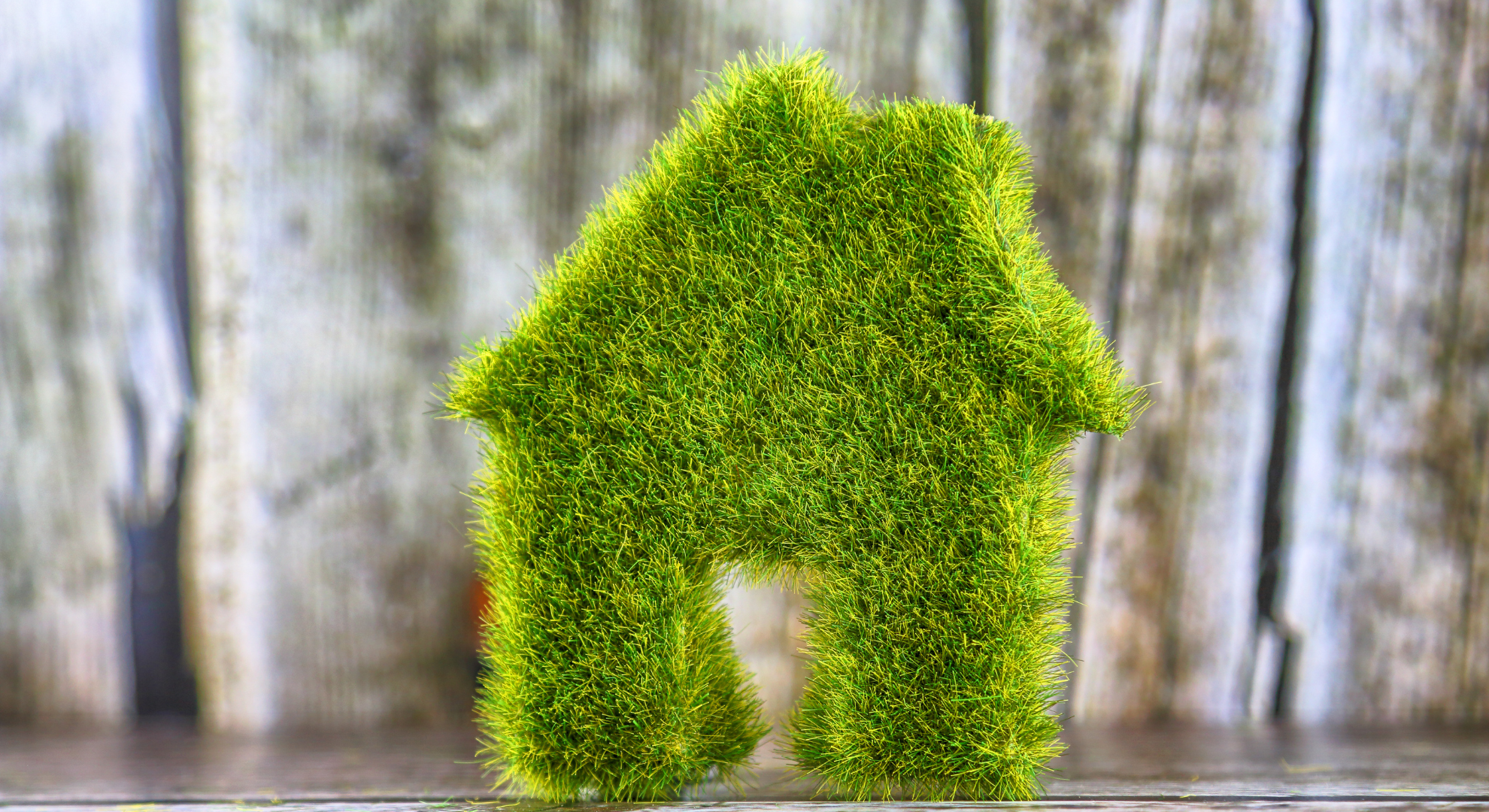 Symbolbild grünes Haus