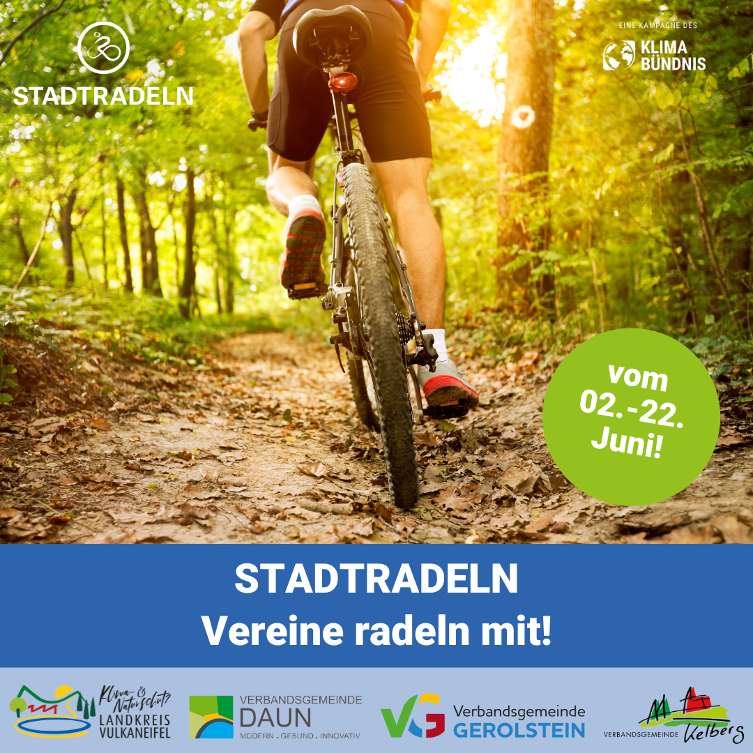 Symbolbild Fahrrad im Wald