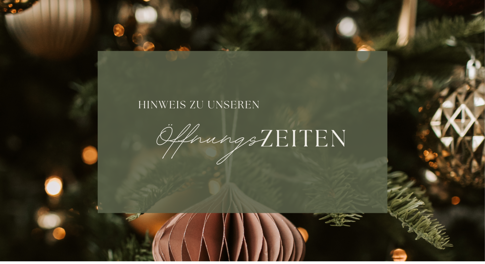 Symbolbild Tannenbaum