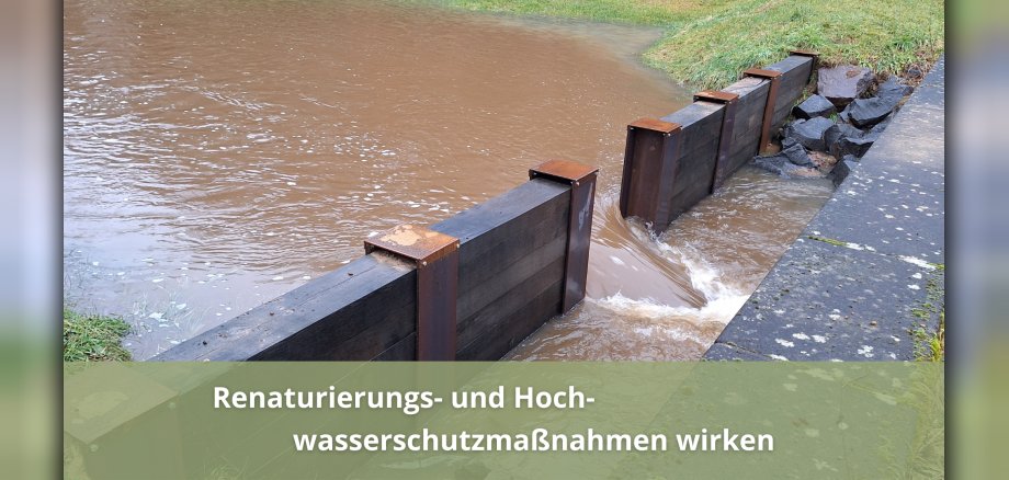 Renaturierungs- und Hochwasserschutzmaßnahmen wirken