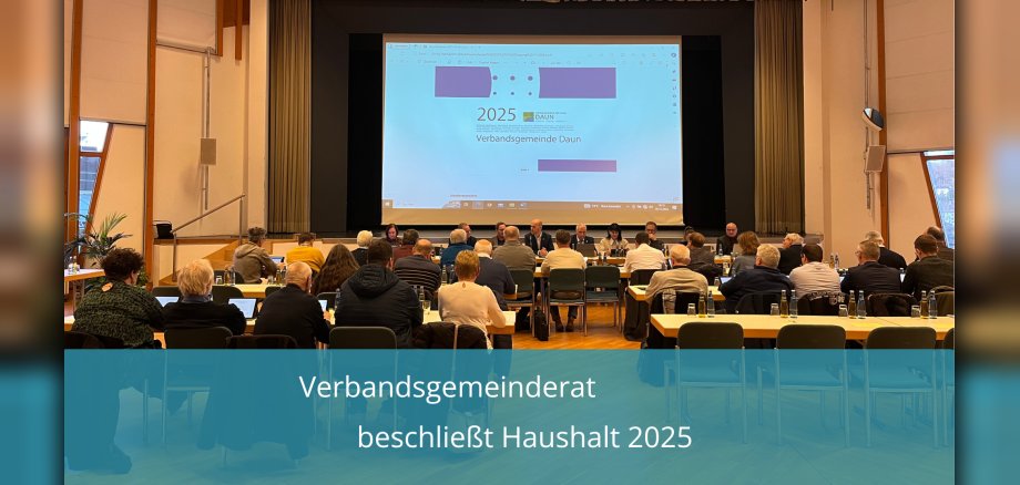 Ratsmitglieder bei Sitzung