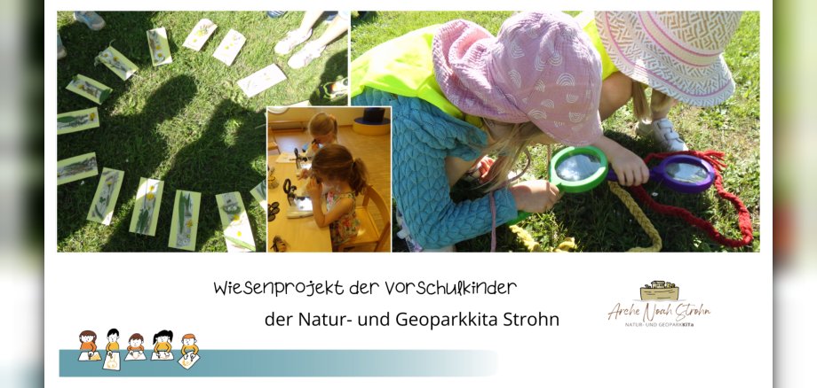Collage Kinder Auf Wiese und mit Mikroskop