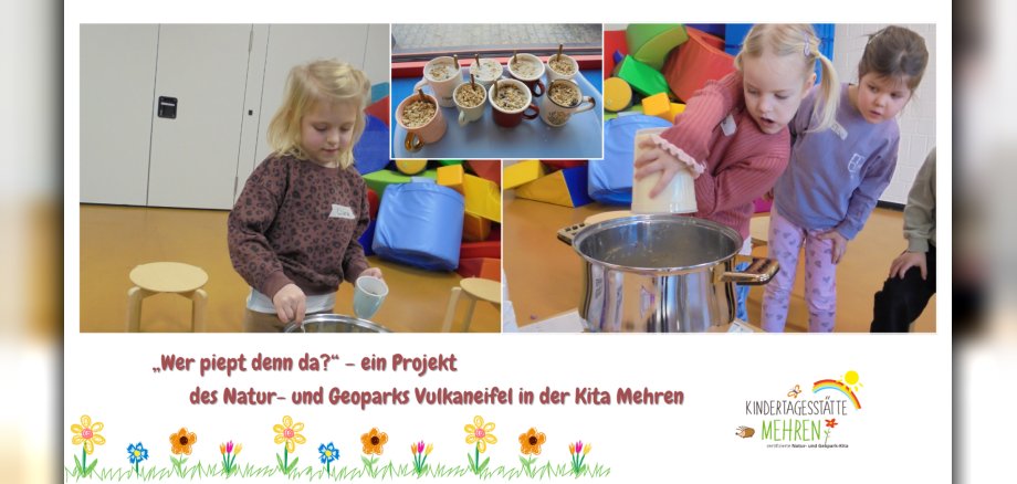 Fotocollage Kinder beim Vogelfutter machen