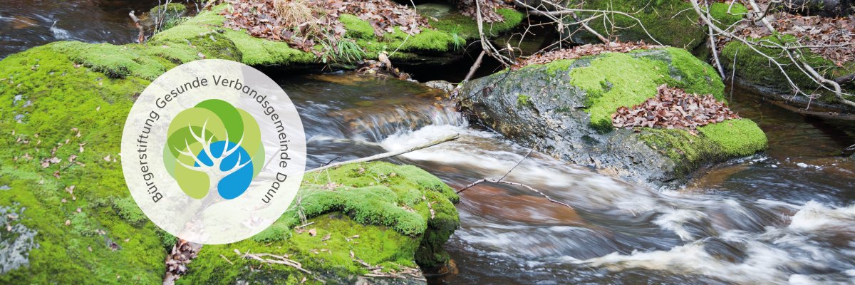 Symbolbild Moos und Bach