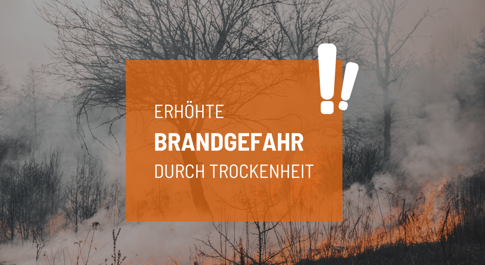 Symbolbild Waldbrand