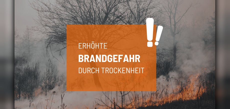 Erhöhte Brandgefahr (1980 x 1080 px) - 1 Symbolbild Waldbrand