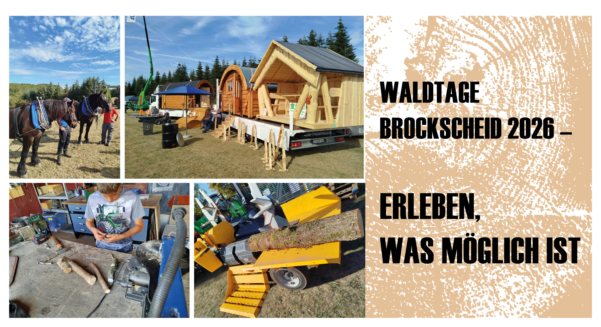 Bildercollage des Tages
