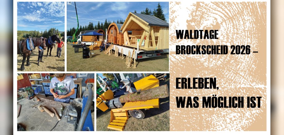 Bildercollage des Tages