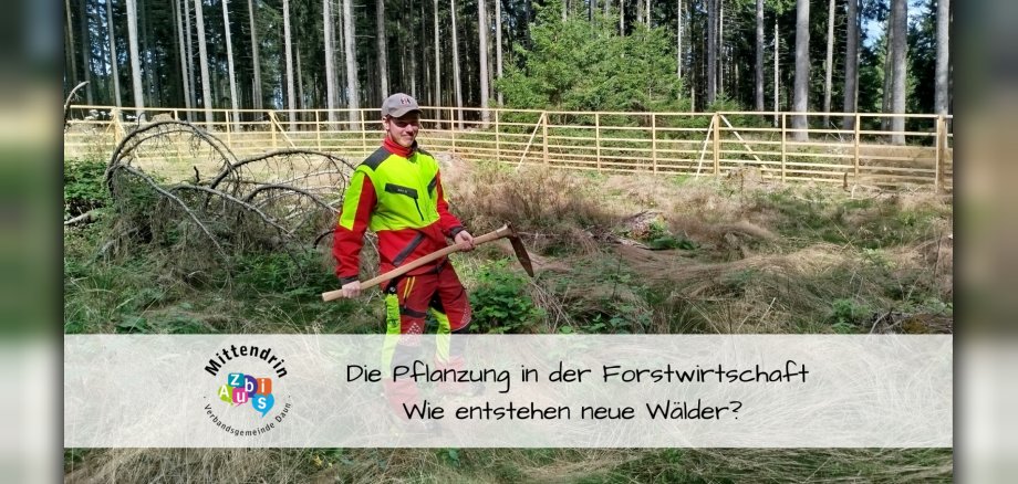 Forstwirt mit Werkzeug auf Freifläche vor Wald